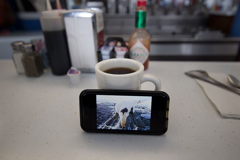 Mobile phone with duck image leaning against a coffee mug