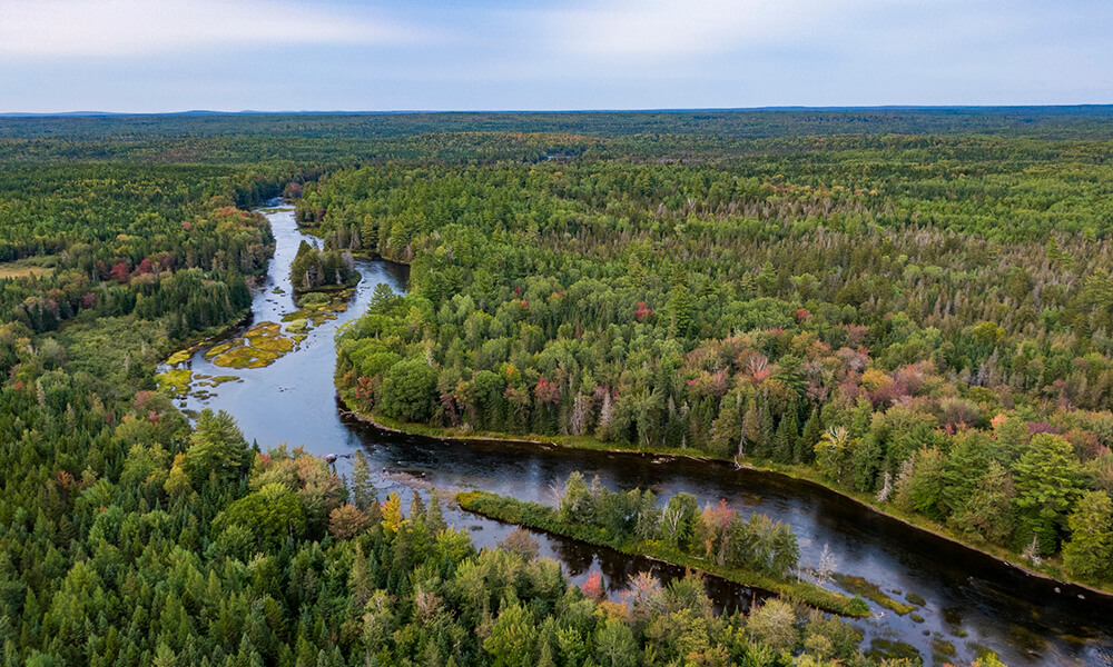 Aerial drone photograph of wild and remote St. Croix river meandering through thick evergreen spruce forests in downeast Maine. 