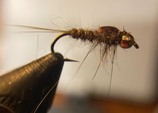 Fly Fishing 101: Lifecycle Of The Mayfly - Old Town