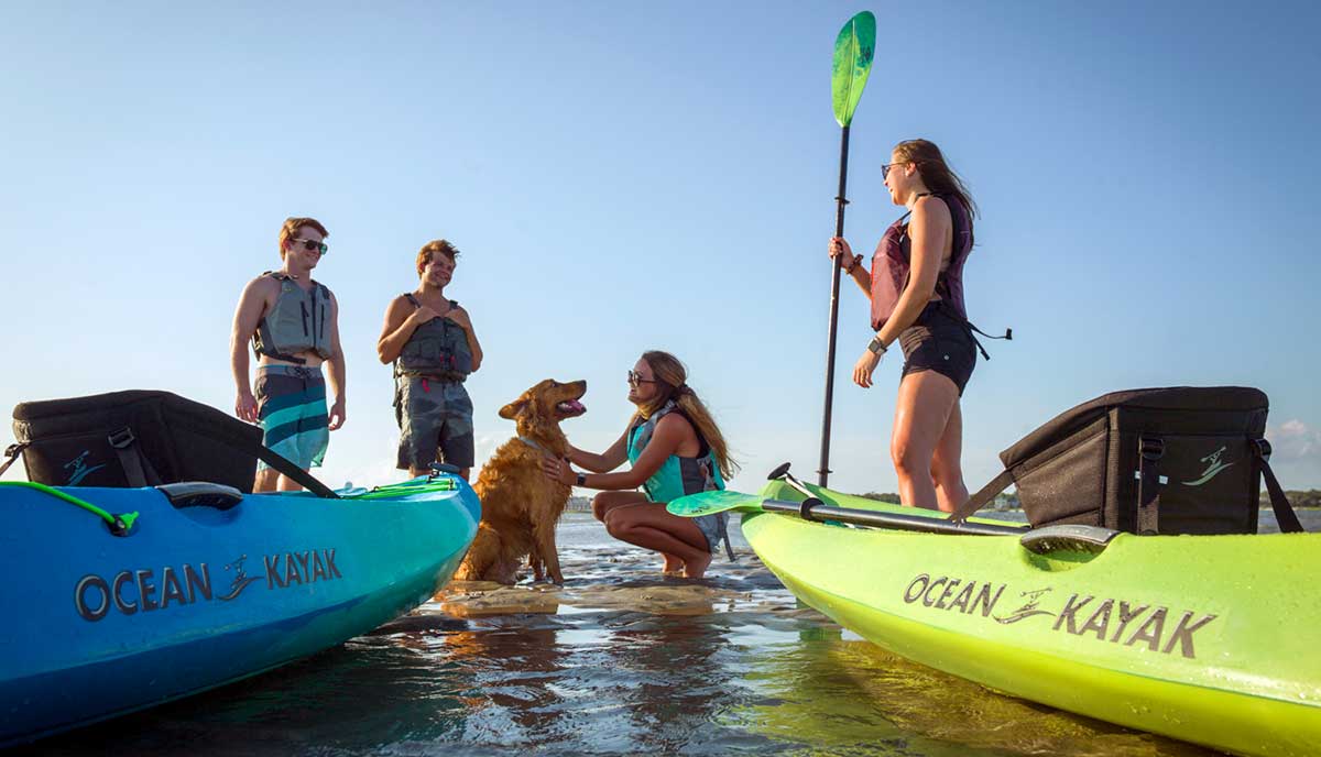 Group of four friends with a Golden Retriever dog ready to hit the water in their Ocean Kayak Malibu Kayaks