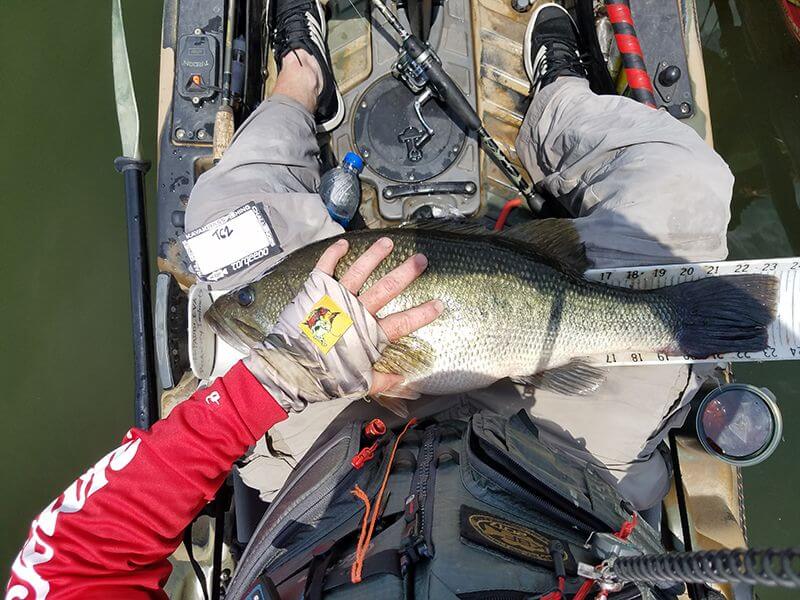 Old Town Predator Kayak Fishing Bass Tournament