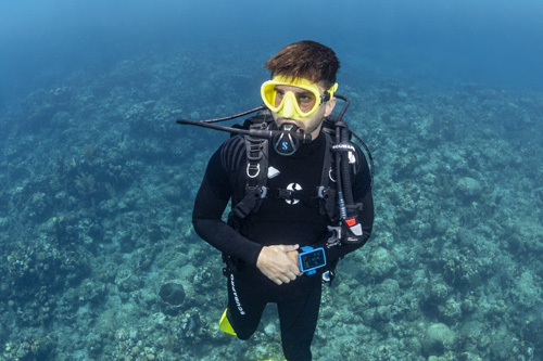 Lens widens the field of view