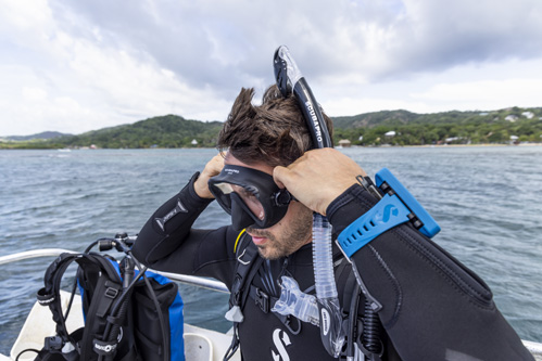 Push-button release system