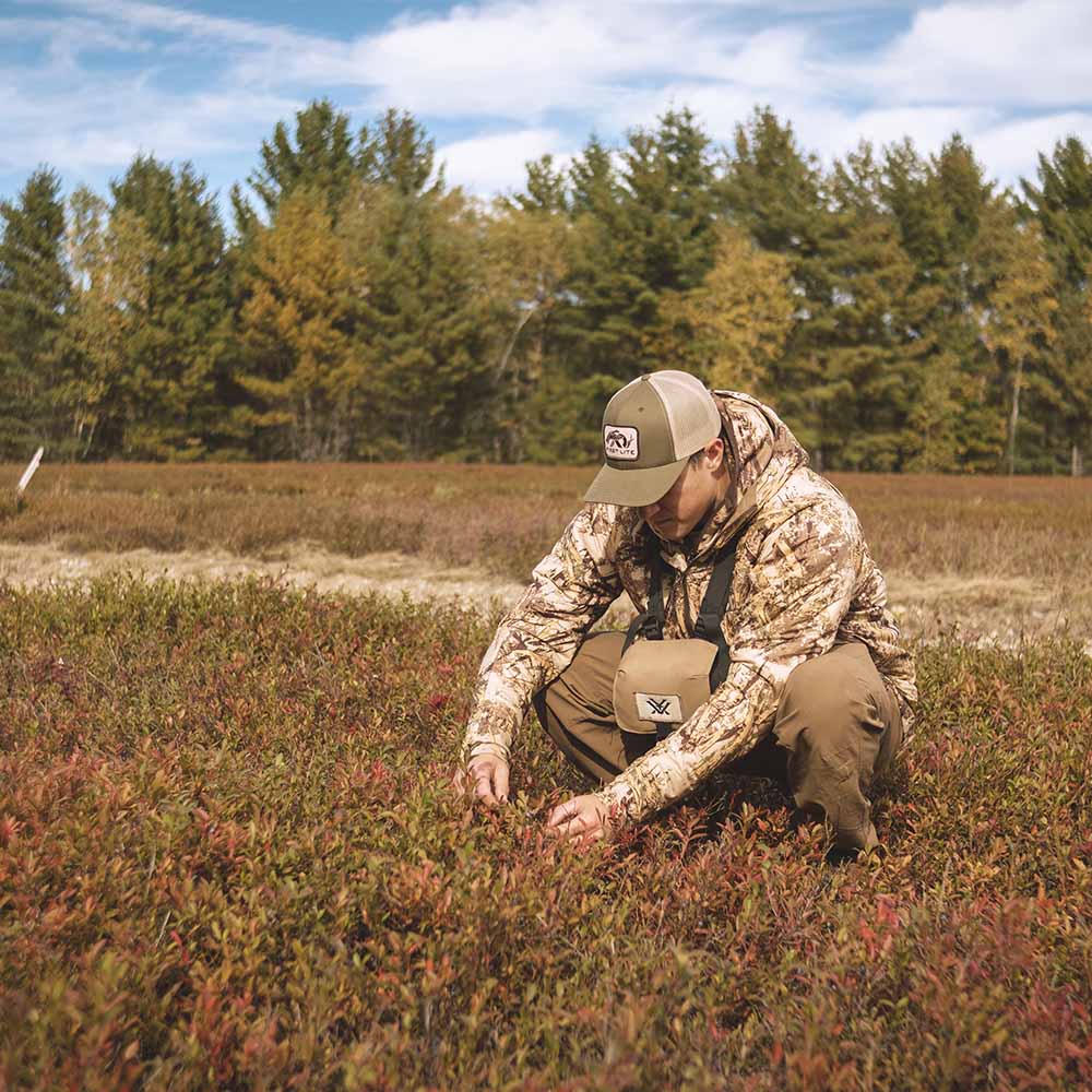 Man kneeling down in a field of wild berries