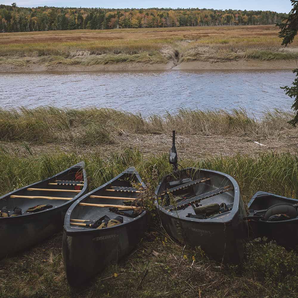 Three canoes lined up on the river bank