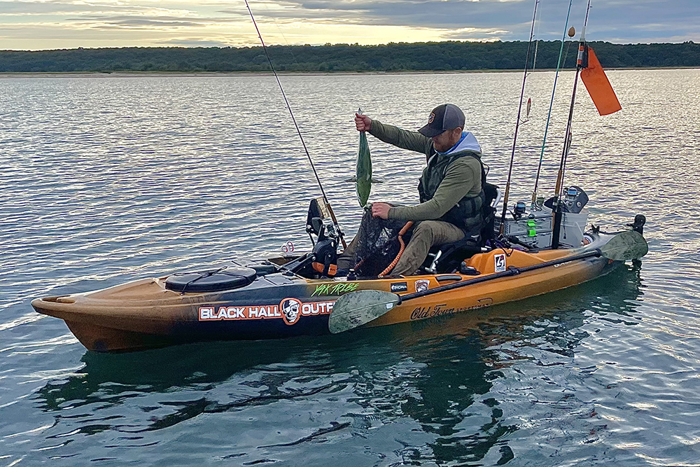 A kayak angler holds a false albacore by the tail, prepared to plunge the fish back into the water to swim away.