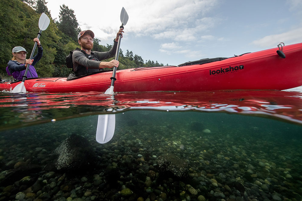 Man and woman paddling in Old Town Looksha T touring kayak wearing life jackets and paddling with Carlisle paddles