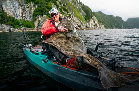 Adam Fisk with a 200lb halibut in a fishing kayak.