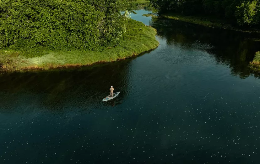 Remote Pond Must Haves